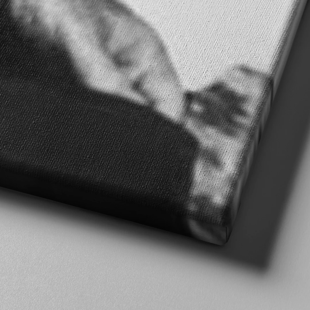 Tüm Mal Varlığını Milletine Bağışlayan Devlet Adamı Atatürk Kanvas Tablo